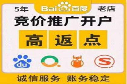 SEM网络推广案例：精准营销助力品牌成长
