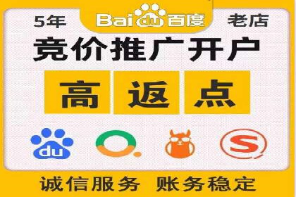 百度推广运营成功案例：行业领先企业的秘诀